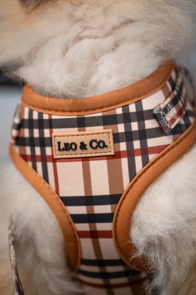 Leo & Co., кадър 9